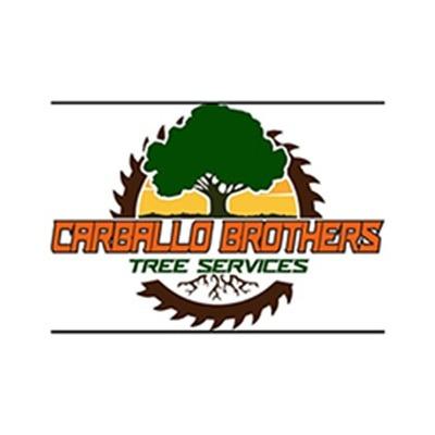 Carballo Brothers Landscaping and Tree Service LLC