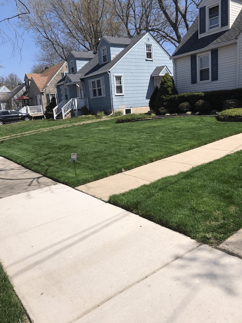 Lawn Doctor