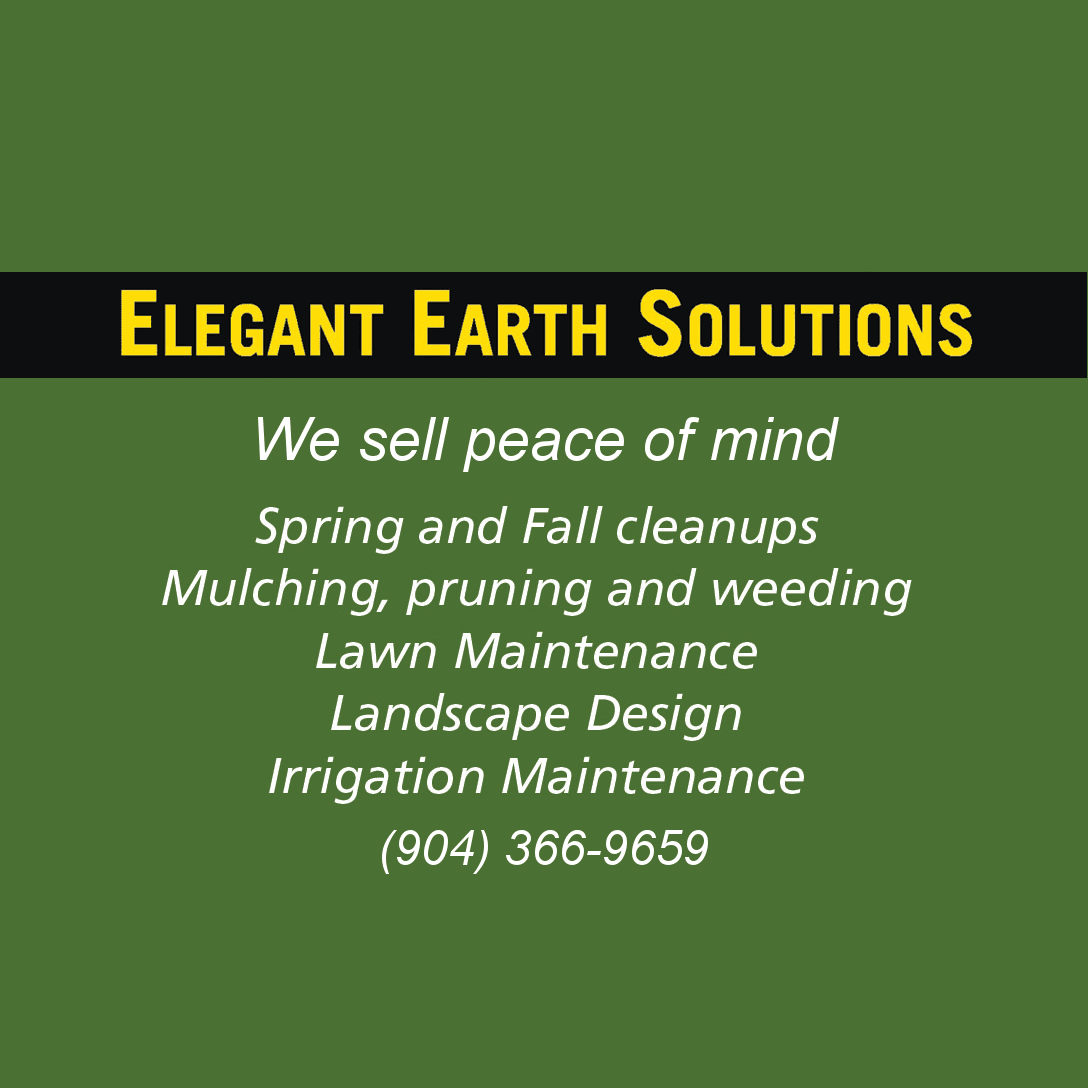 Elegant Earth Solutions