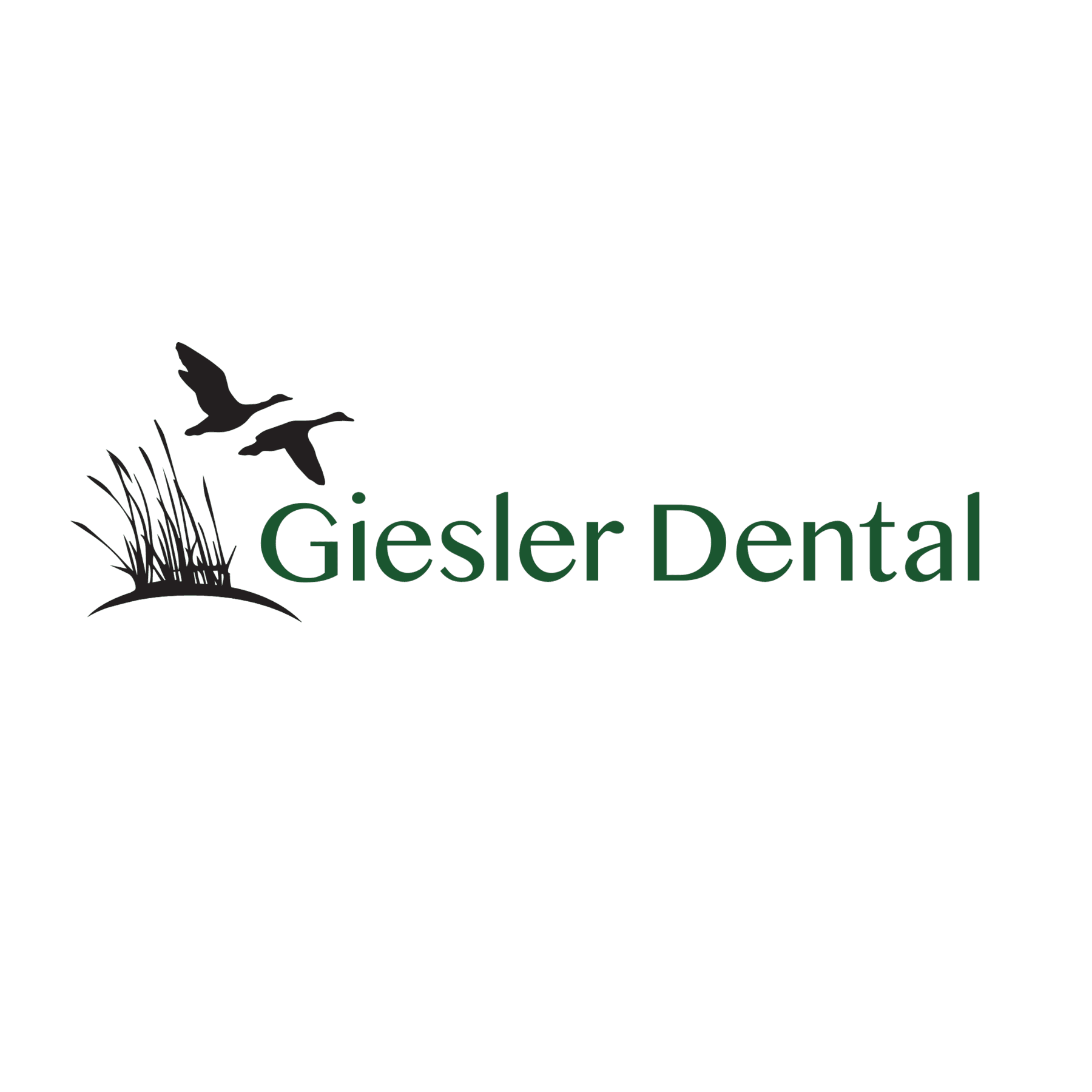 Giesler Dental