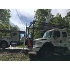 Action Tree Service