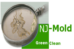 NJ Mold Testing & Remediation LLC