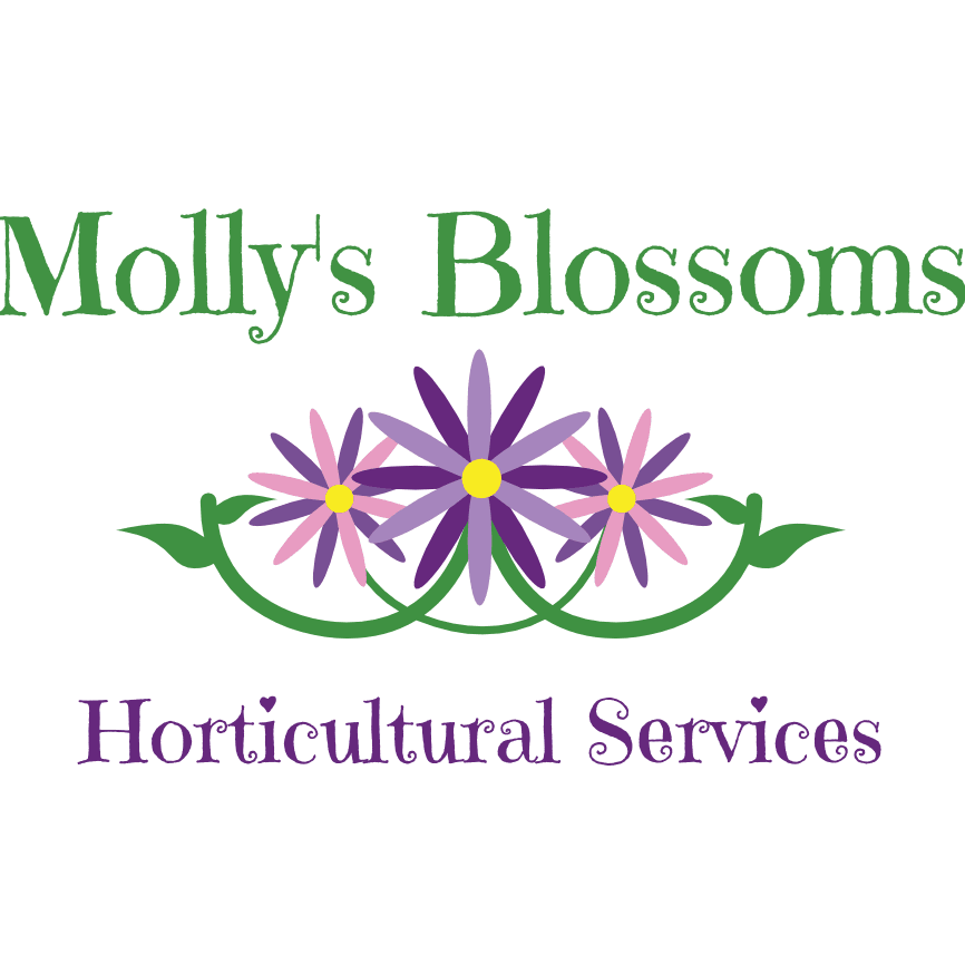 Molly's Blossoms