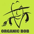 Organic Bob