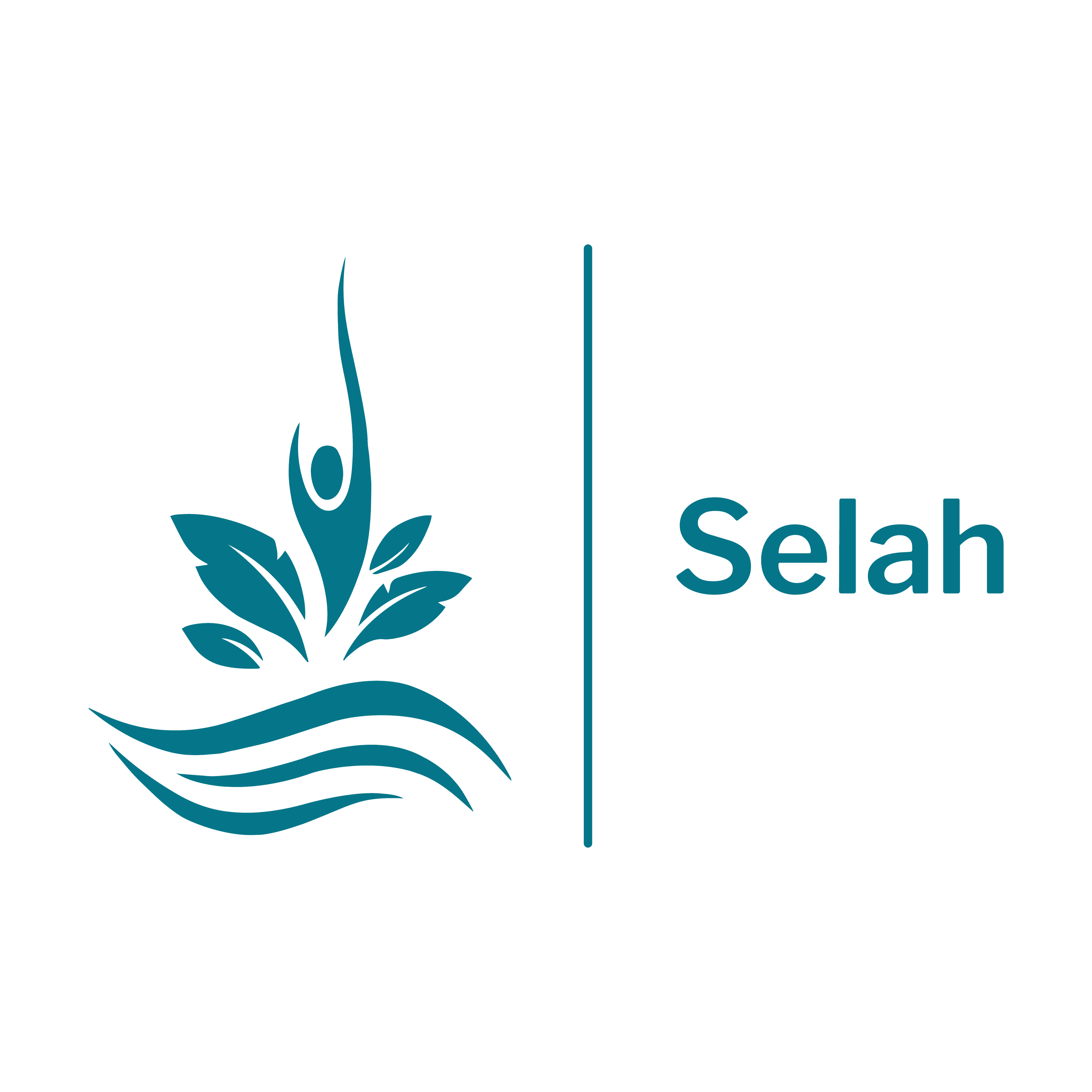 Selah Pools