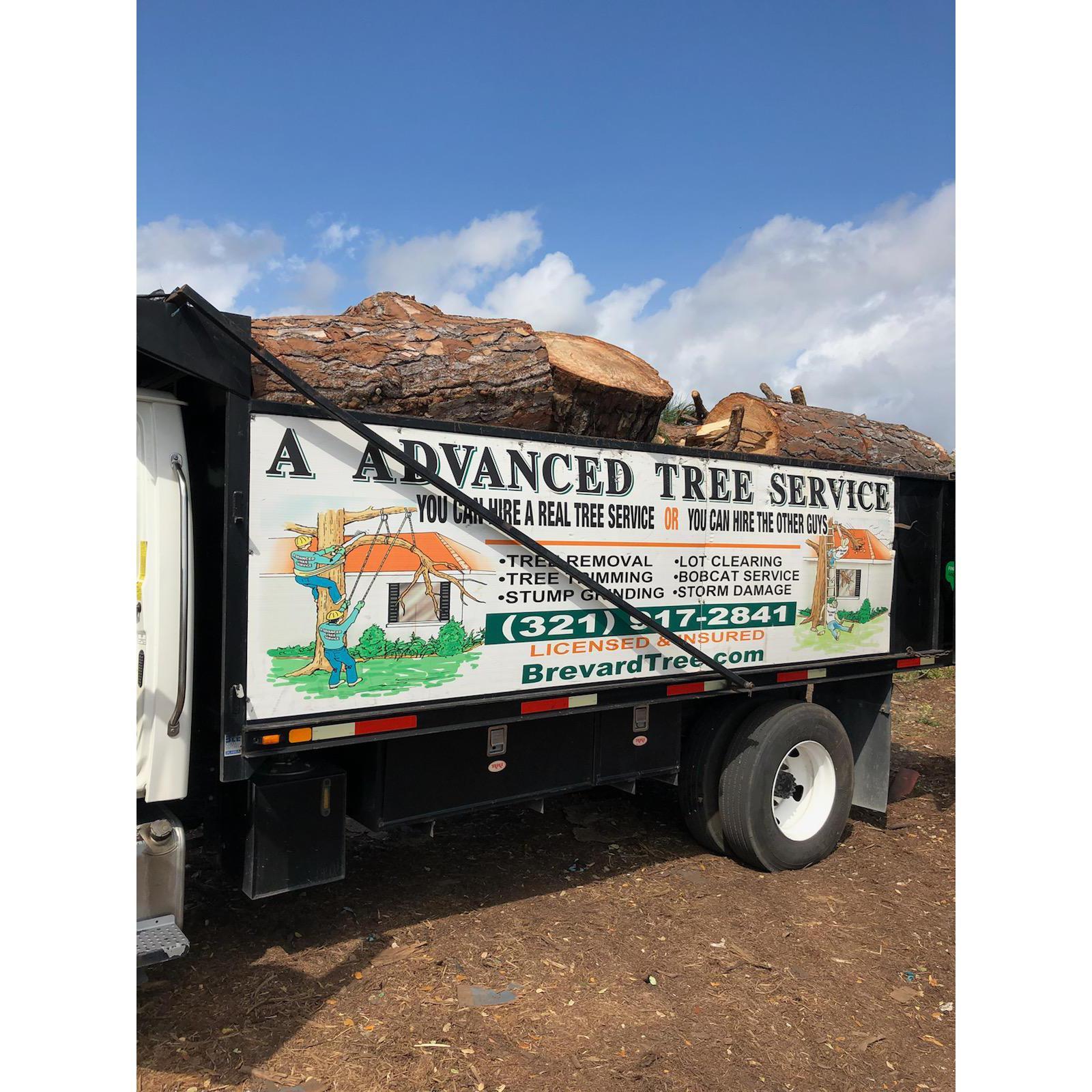 A Advanced Tree Service