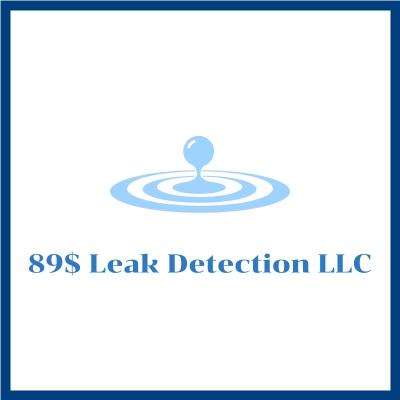 89 Leak Detection