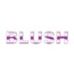 Blush Cleaning Service LLC