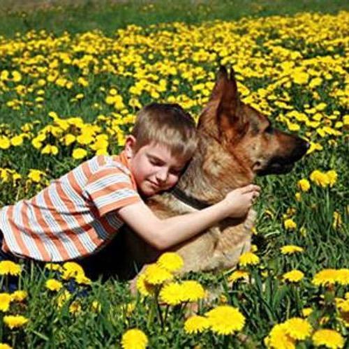 Treasured Pets Backyard Burials