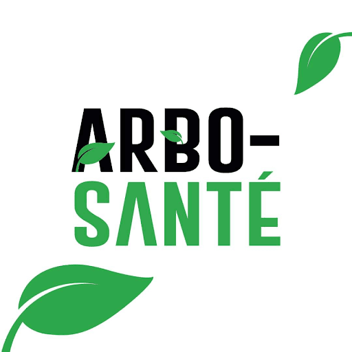 Arbo Santé - Abattage d'arbre - Élagueur Mirabel