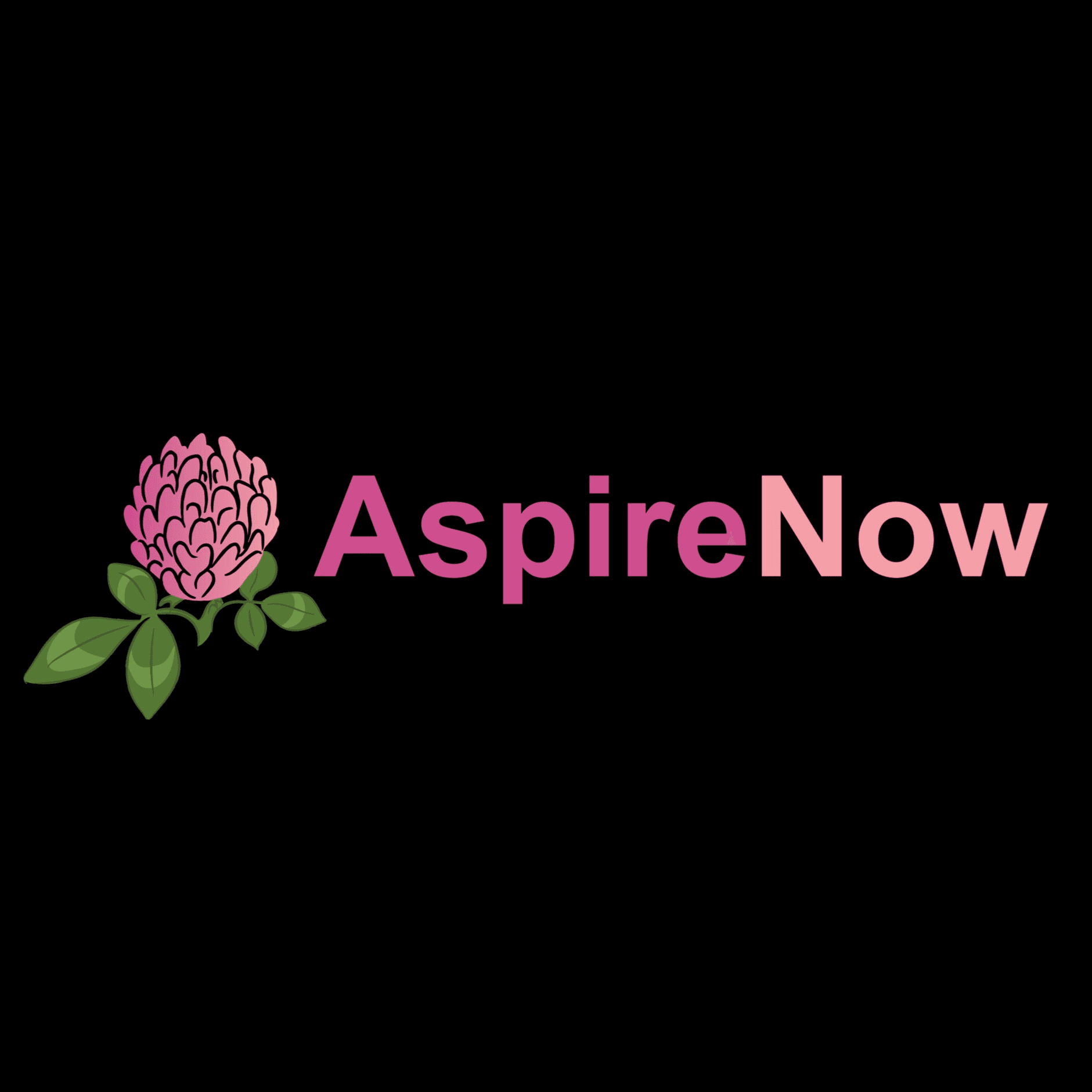 Aspire Now