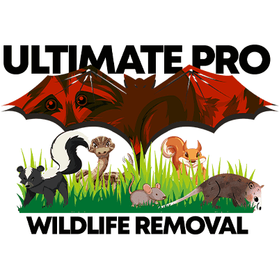 Ultimate Pro Wildlife Removal LLC