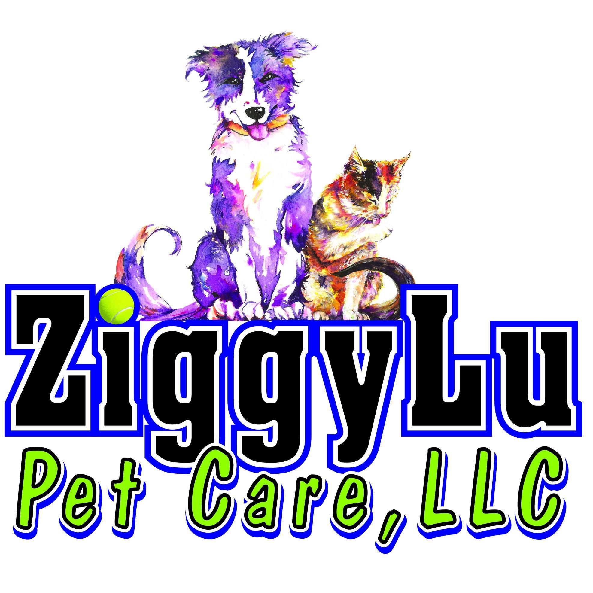 ZiggyLu Pet Care