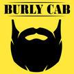 Burly Cab | Taxi & Tours | Flagstaff, AZ