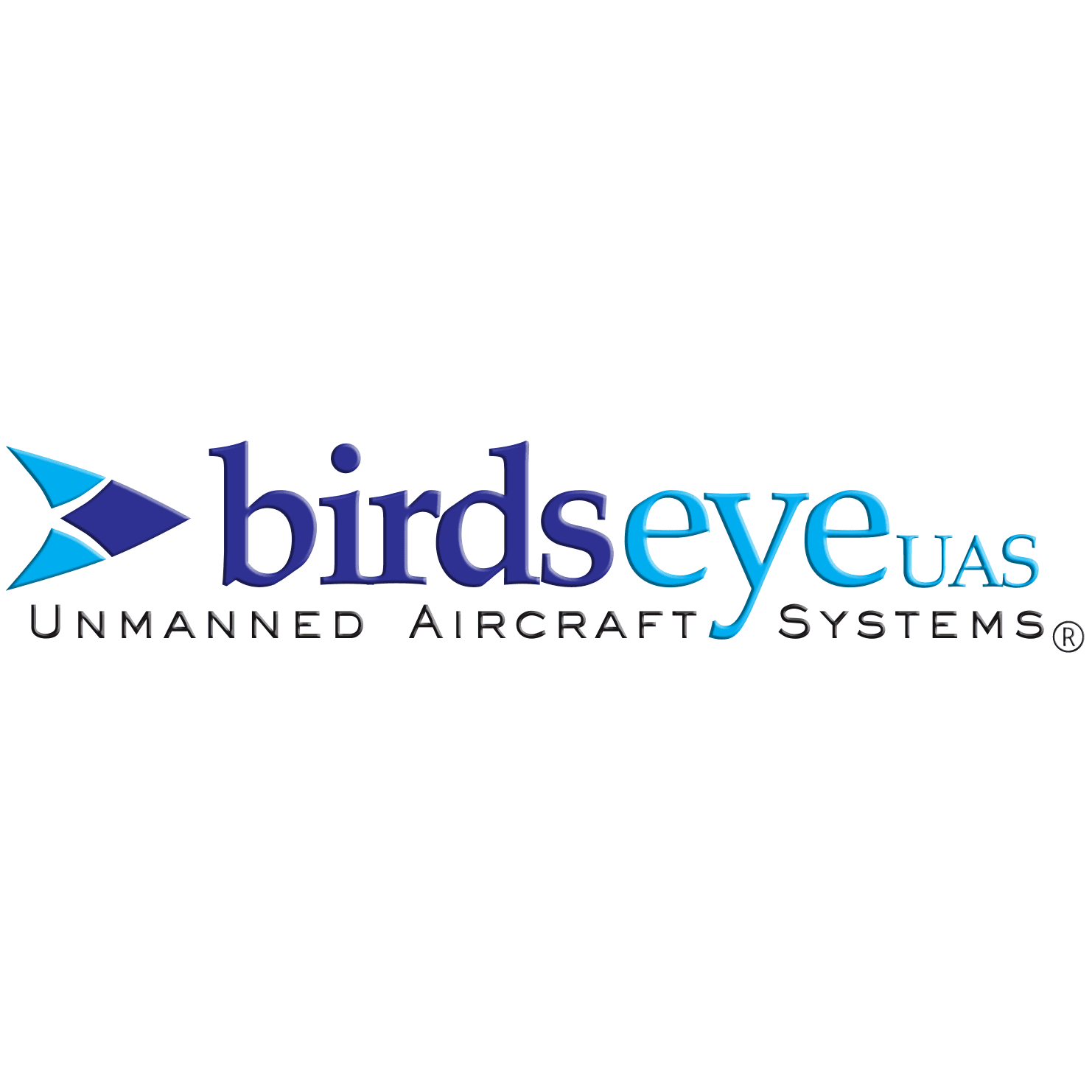 Birds Eye UAS