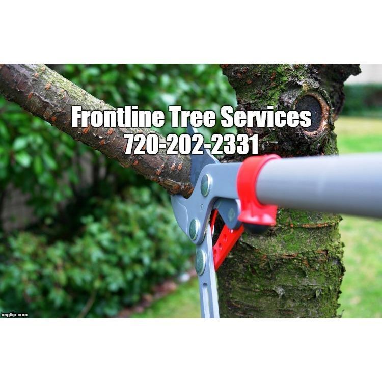 Frontline Tree Services and Landscaping LLC