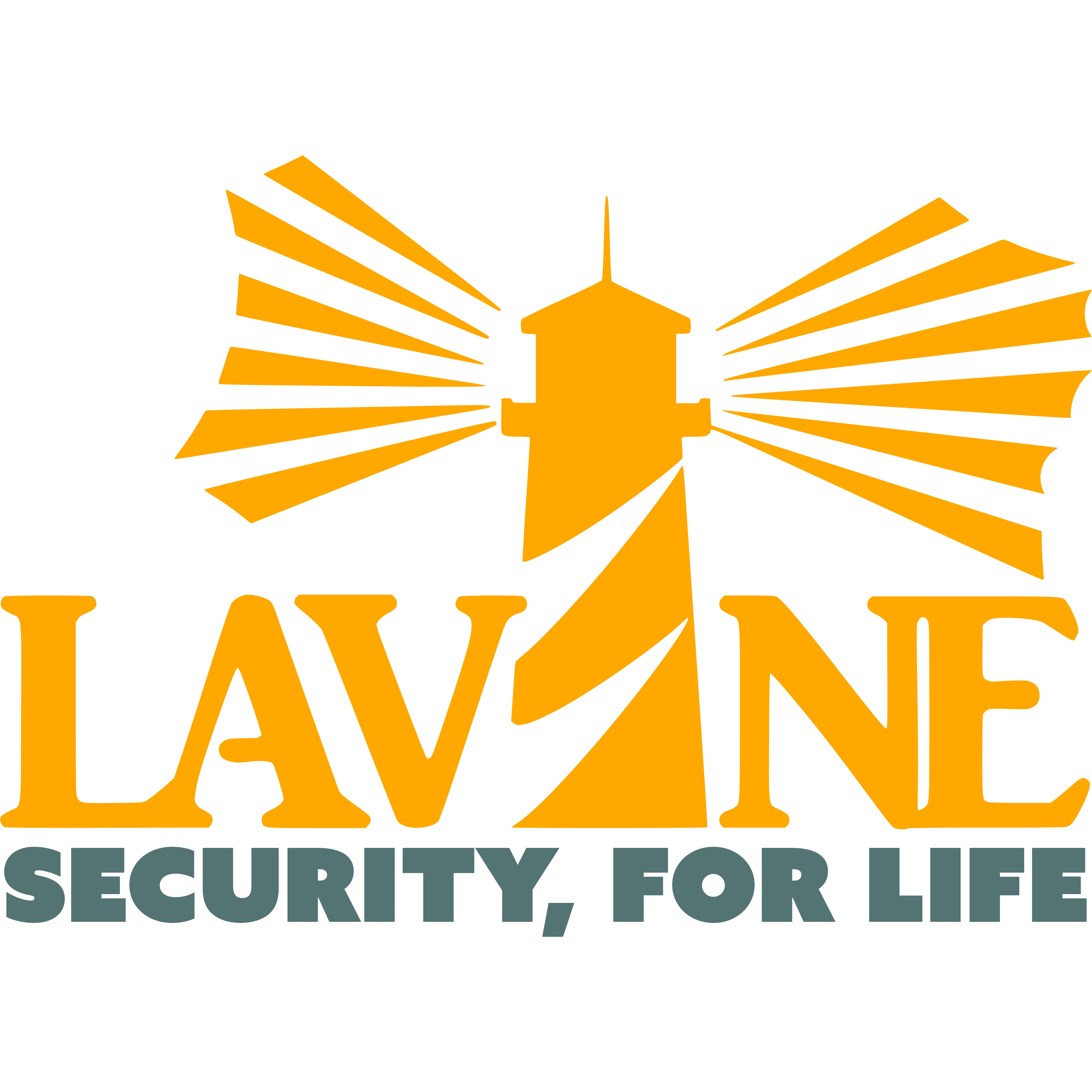 Lavine: LTC Insurance