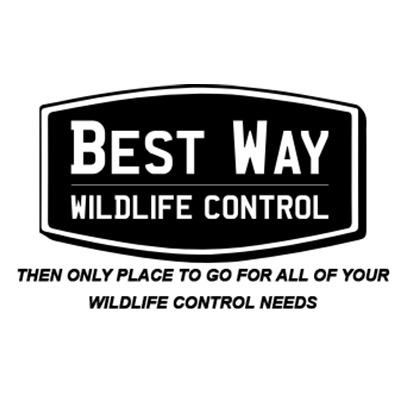 Bestway Wildlife Control