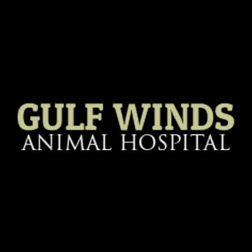 Gulf Winds Animal Hospital