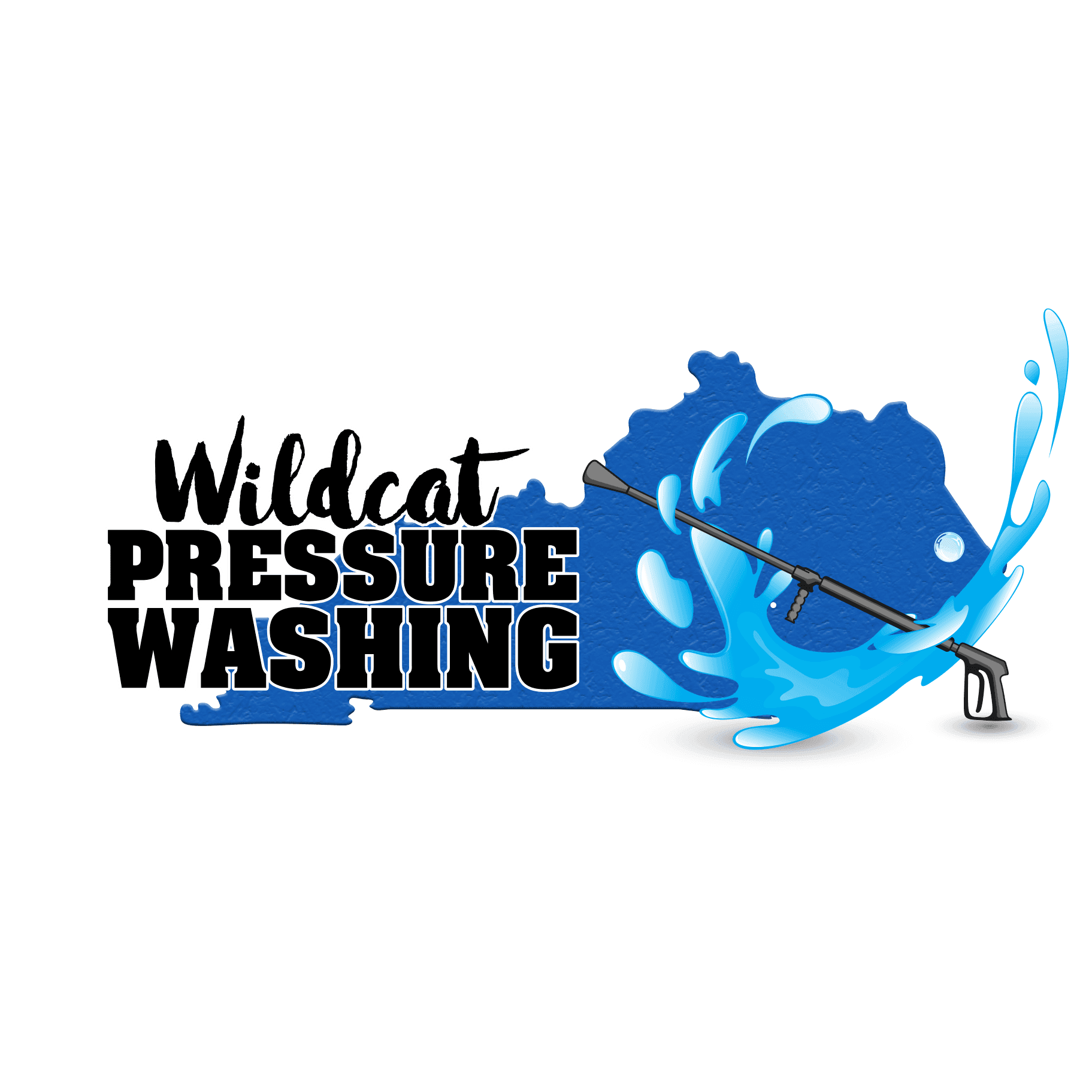 Wildcat Pressure Washing