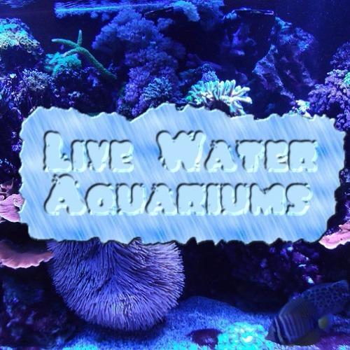 Live Water Aquariums