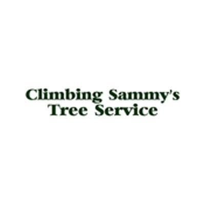 Climbing Sammy's Tree Service