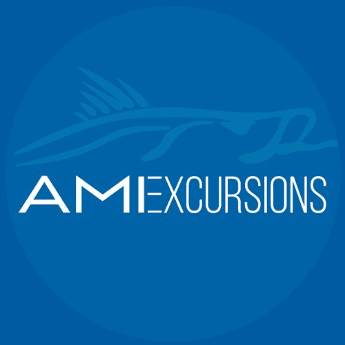 AMI Excursions