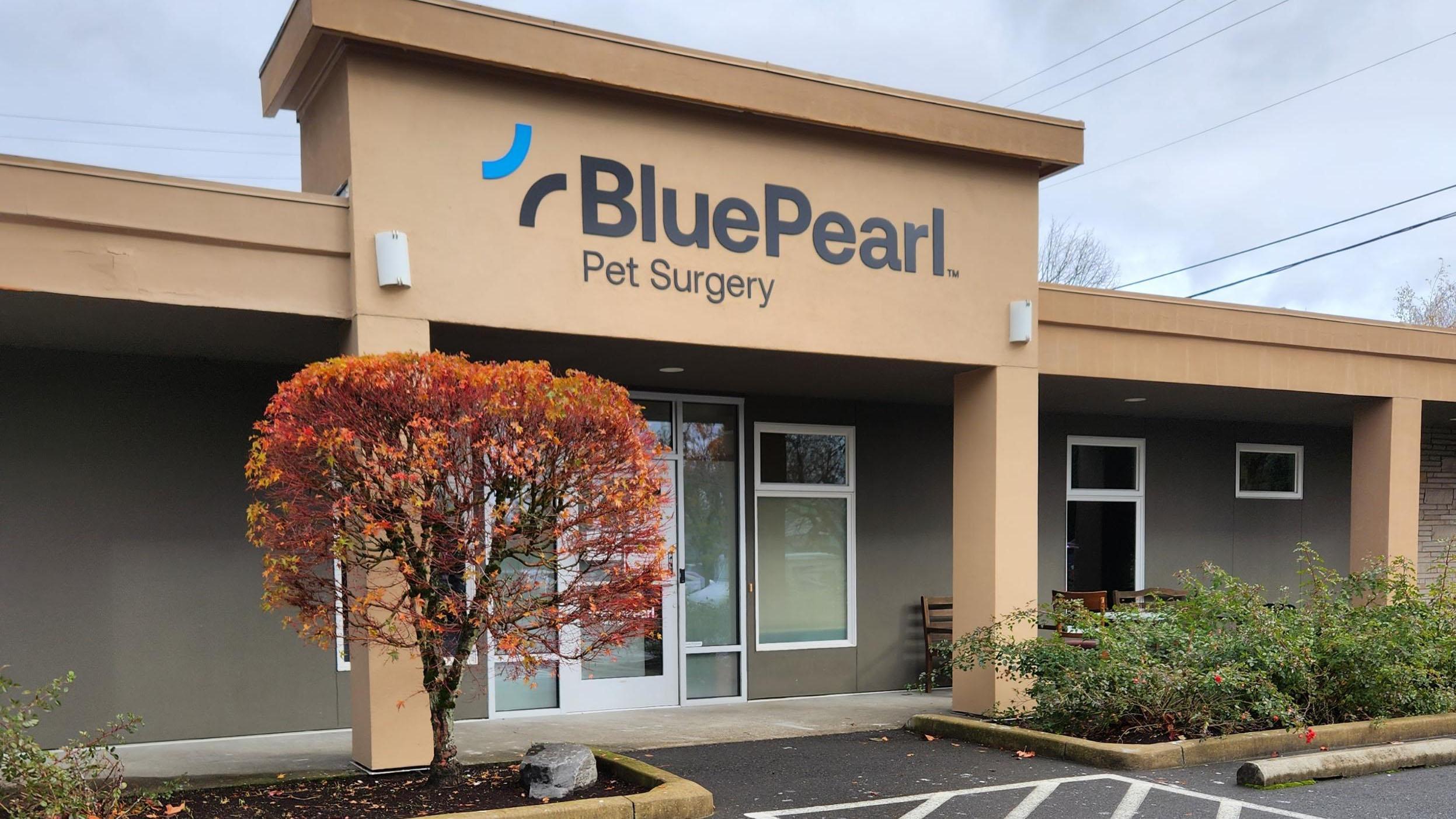 BluePearl Pet Surgery