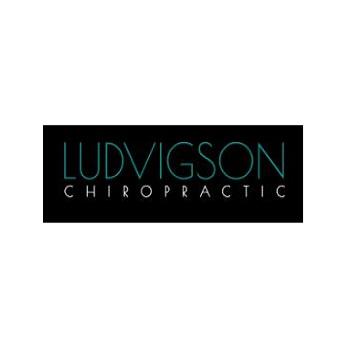 Ludvigson Chiropractic