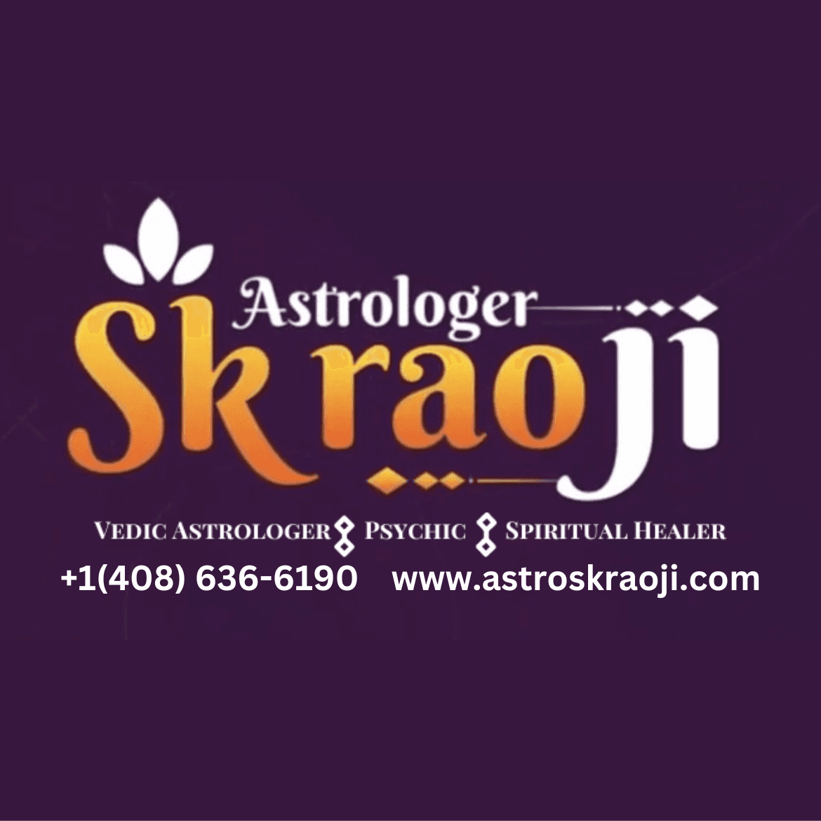 Pandith S K Rao Ji Spiritual Healer And Astrologer