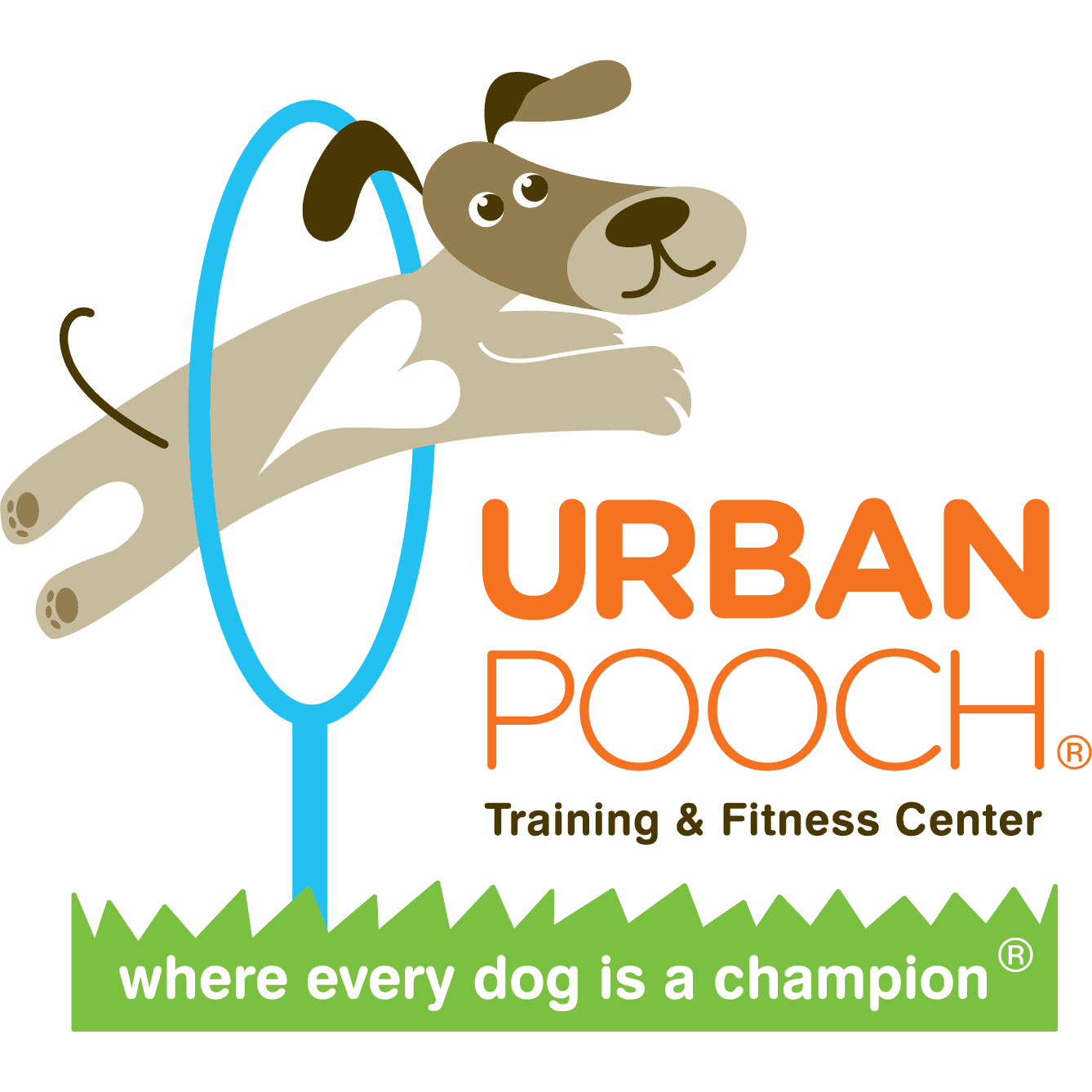 Urban Pooch Training and Fitness Center