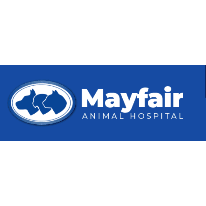 Mayfair Animal Hospital