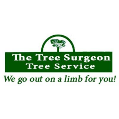 The Tree Surgeon