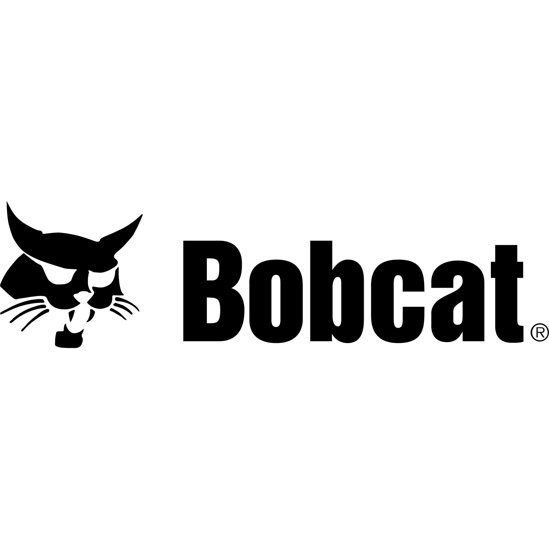 Bobcat of Shippensburg