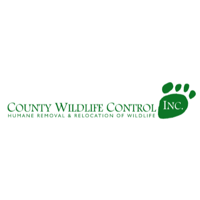 County Wildlife Control Inc