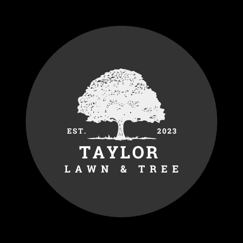 Taylor Lawn and Tree