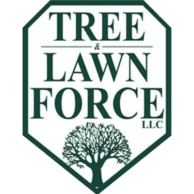 Tree And Lawn Force