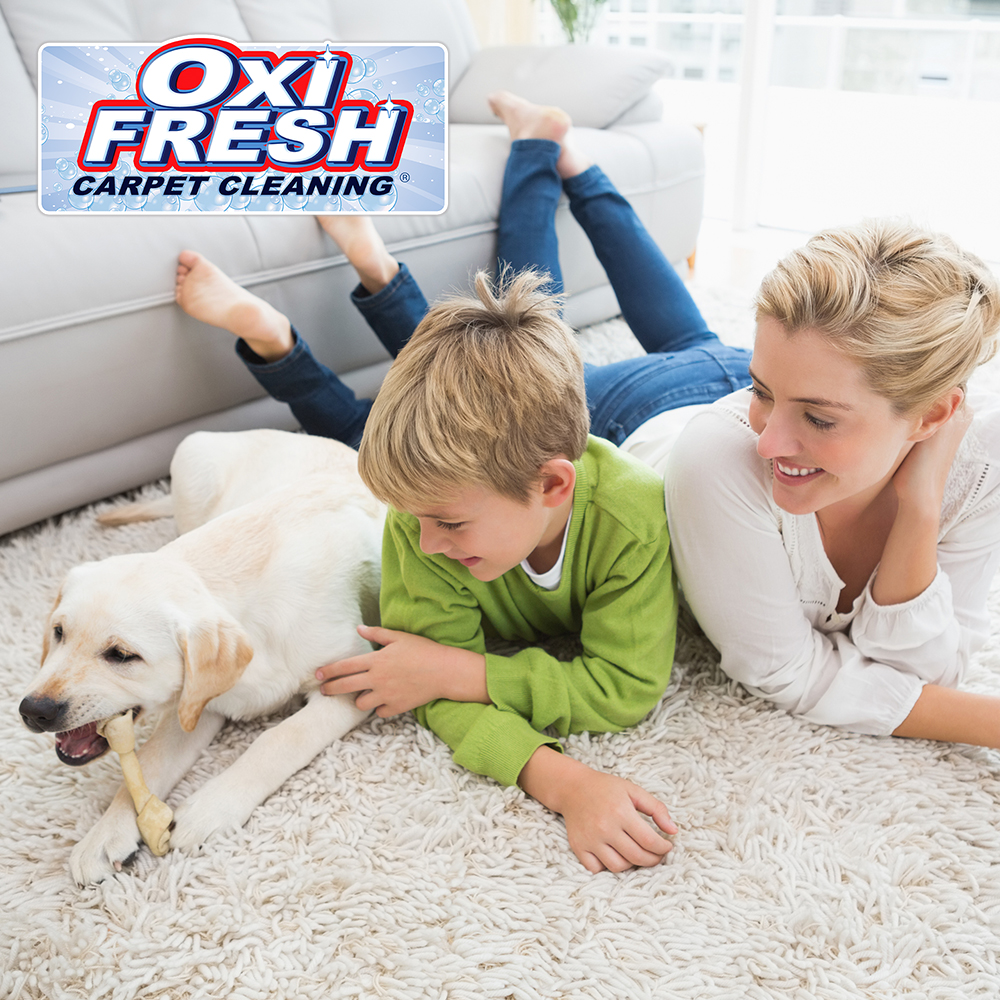 Oxi Fresh Carpet Cleaning