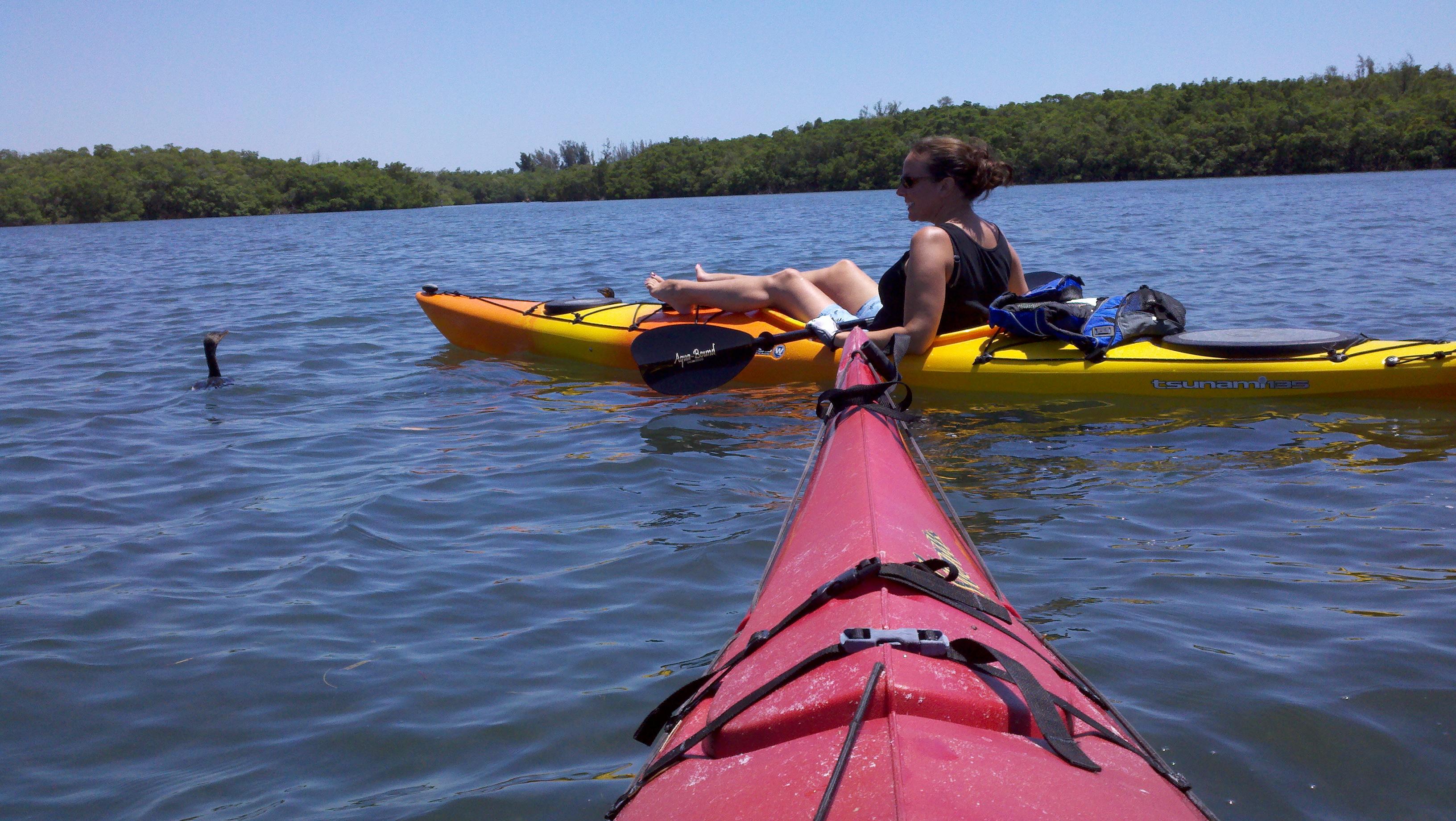 Sea Life Kayak Adventures