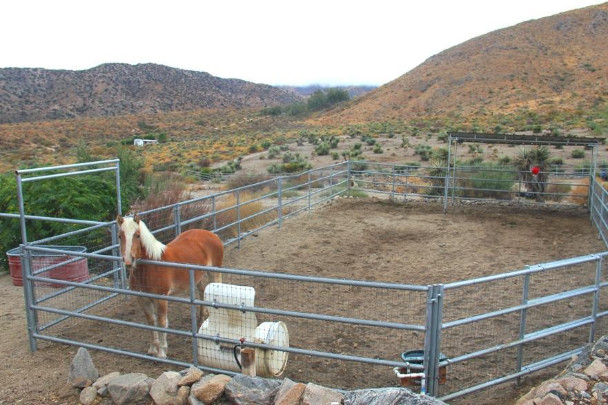 large Pens & Stalls