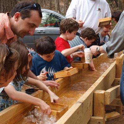 Gem Mining at the Lilly Pad