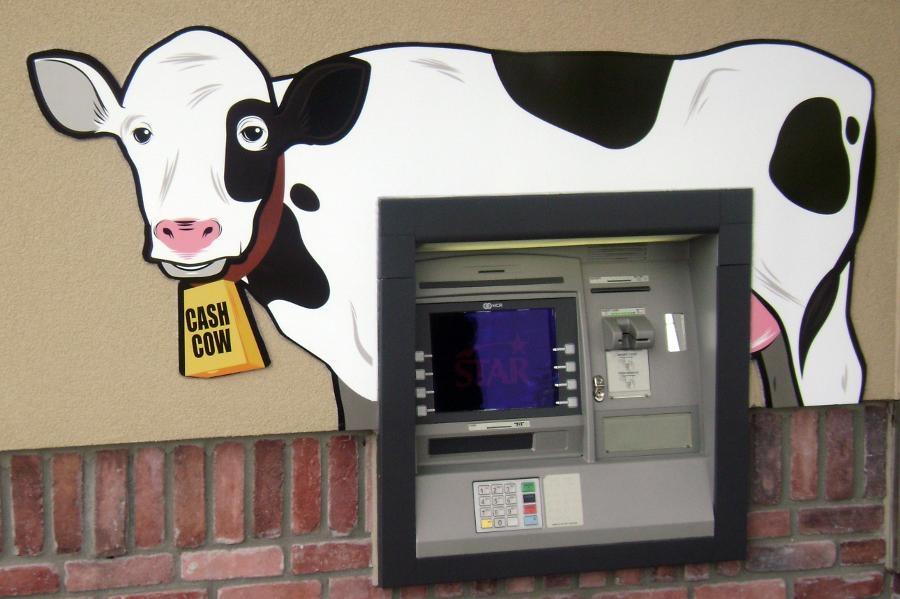 Come visit our Cash Cow