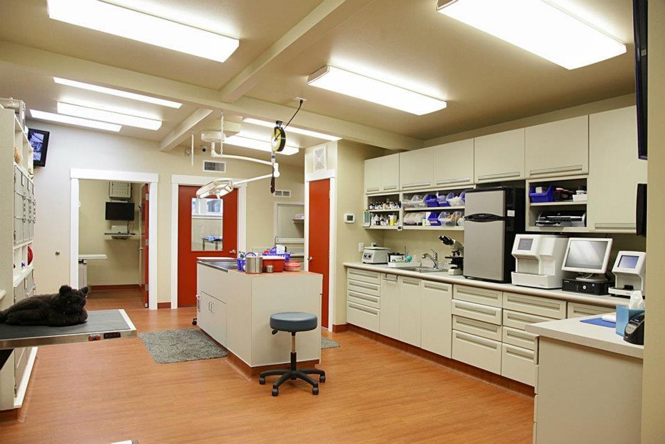 Treatment and laboratory area