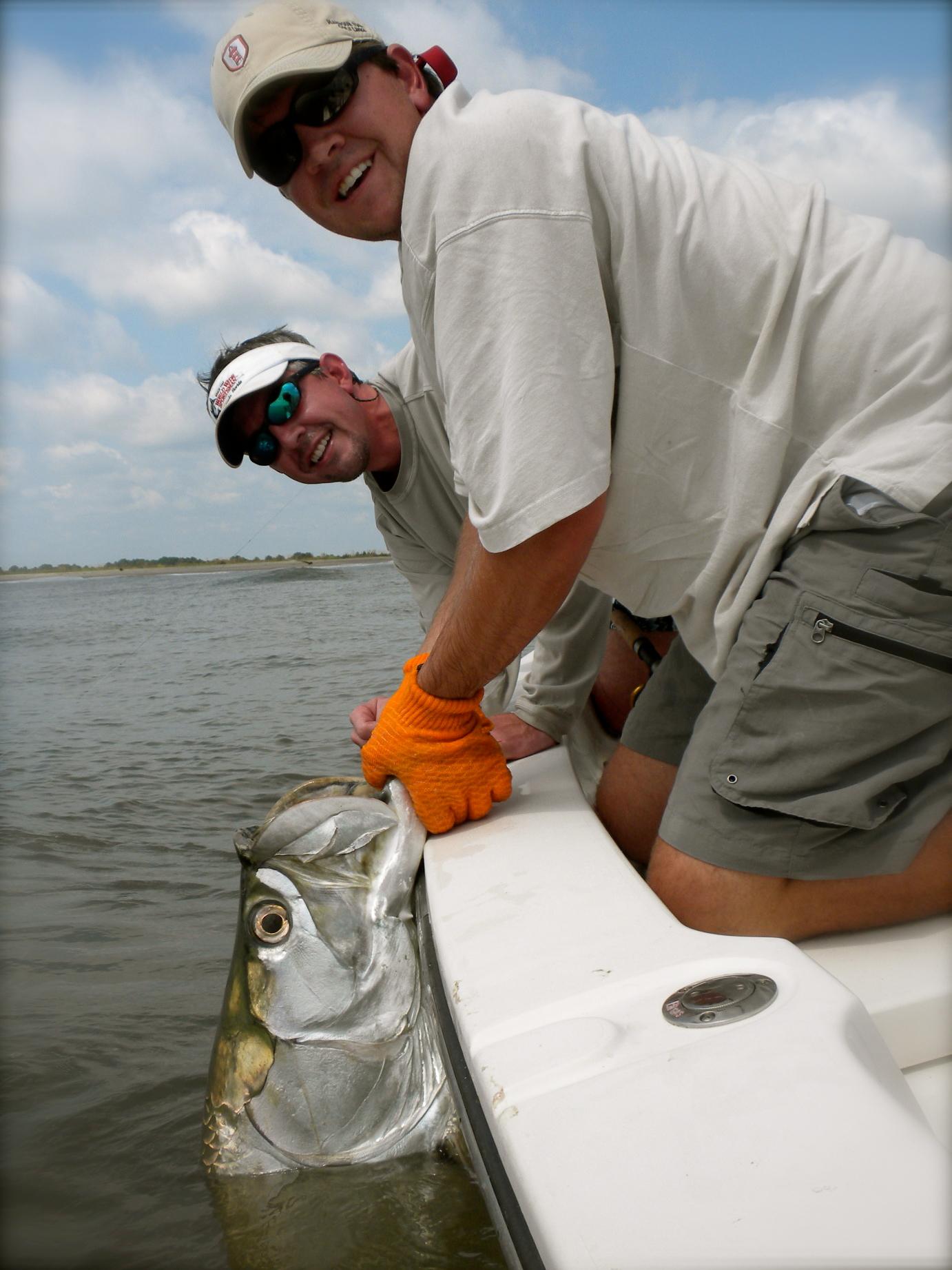 Tarpon South Carolina