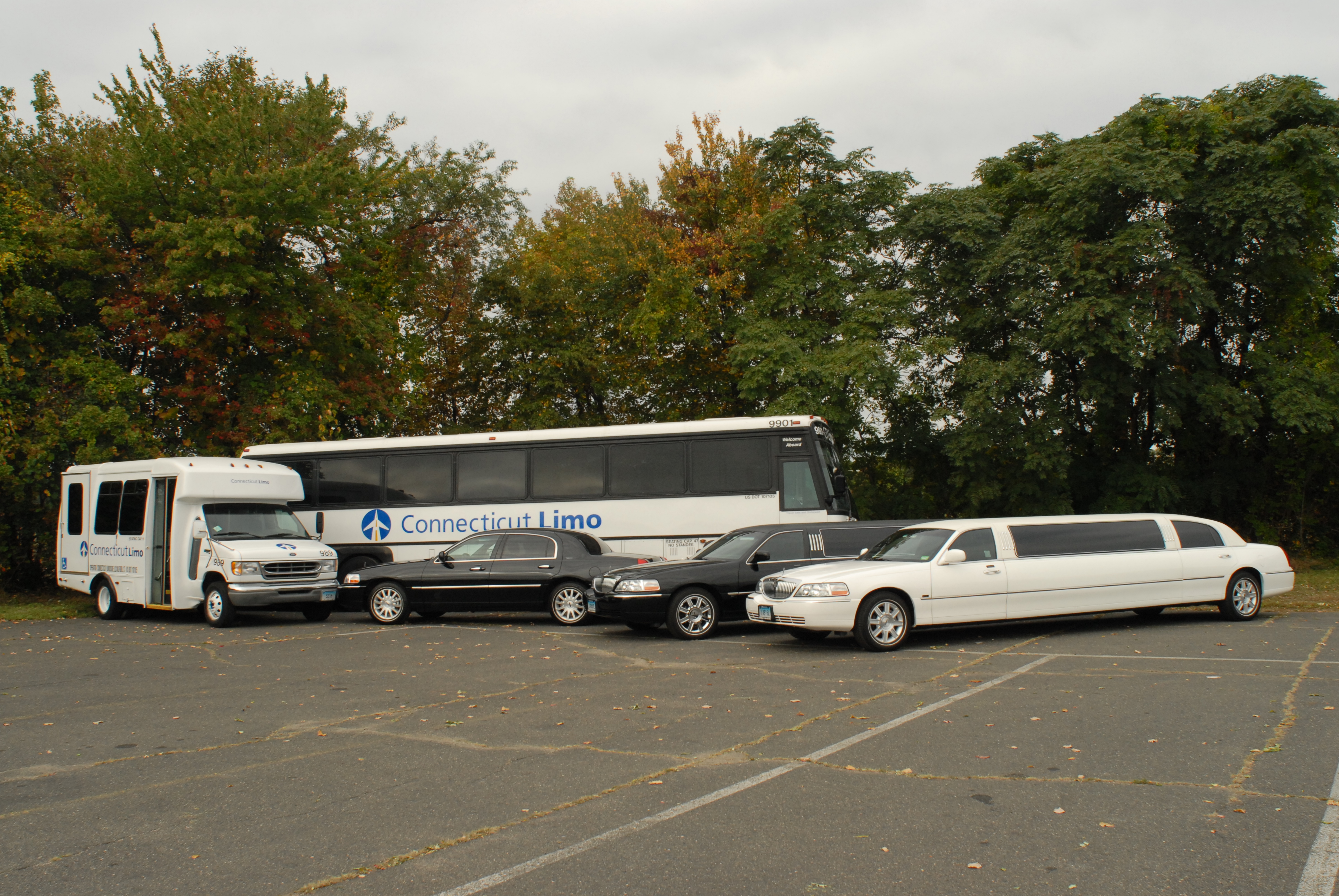 Connecticut Limousine LLC