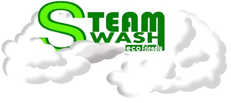 Steam Wash