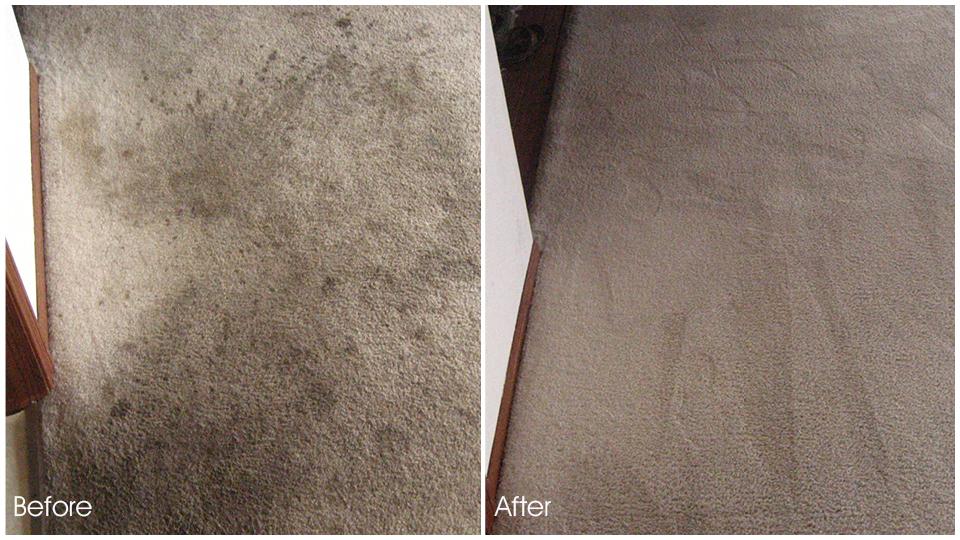 El Cajon Carpet Cleaning