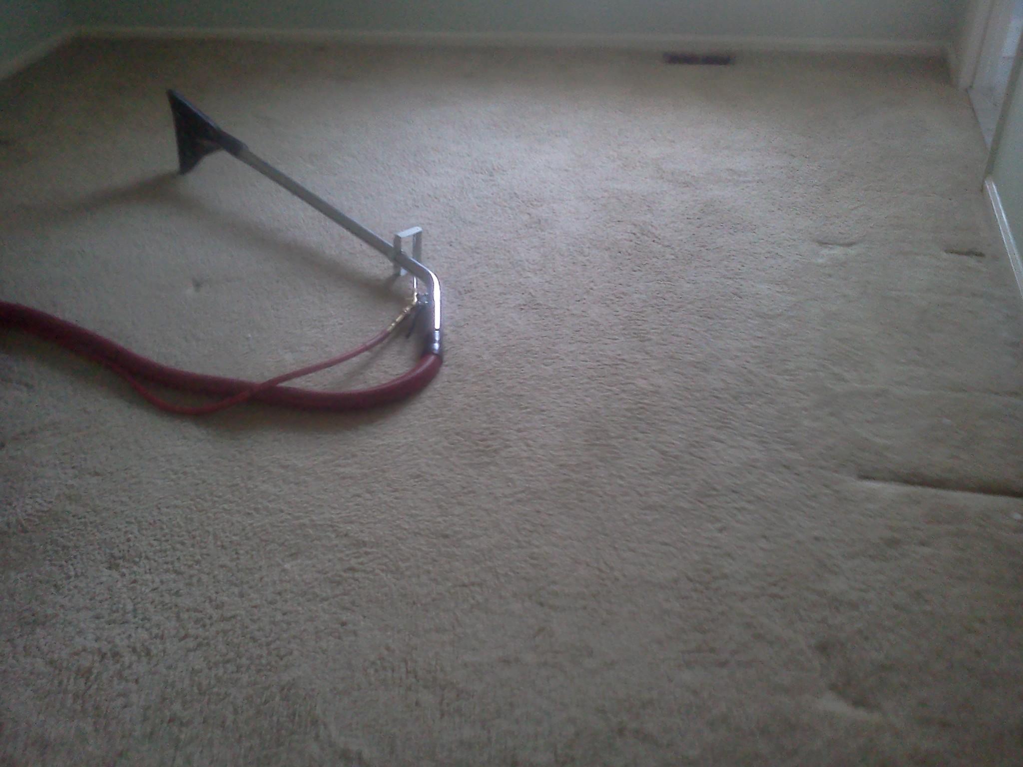 CARPET DUSTERS llc