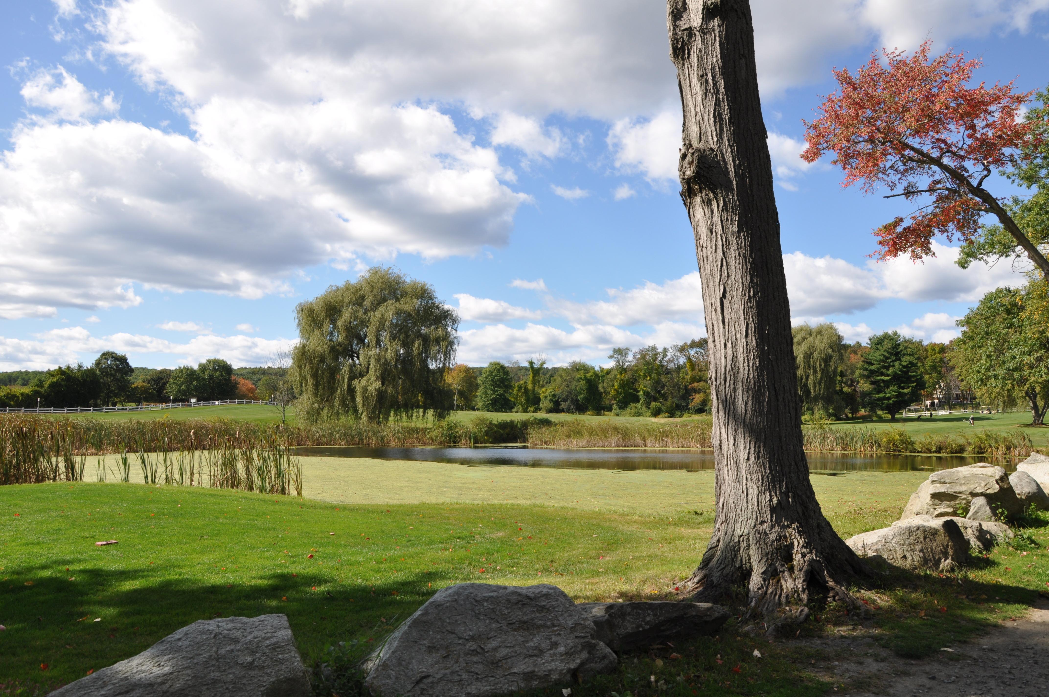 Millwood Farms Golf Course