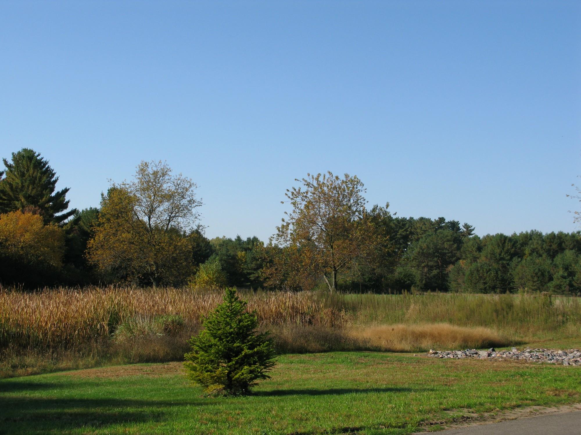 View surrounding Birchwood Apartments - Wisconsin Rapids, WI